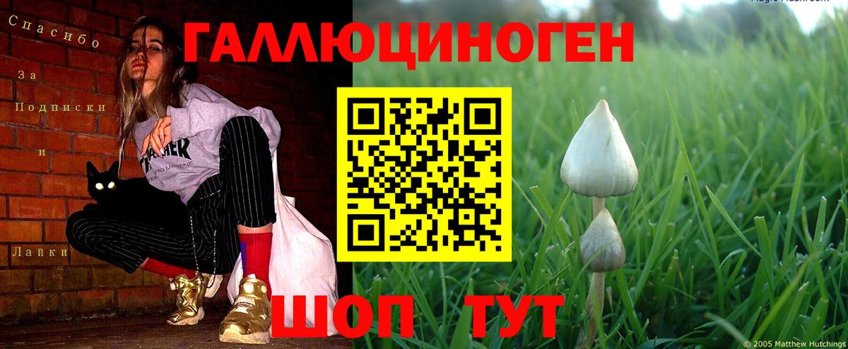 Ахтубинск  Псилоцибиновые грибы Cubensis  Вход с VPN  Псилоцибиновые грибы MAGIC MUSHROOMS 